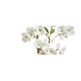 thumbnail image 4 of Raz Imports Floral Pick, White - 15" (F4533107), 4 of 5