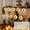 Multicolor-D, variant on Christmas Curtain String Lights 10 Pack Clear Hanging Balls 9.84ft Warm White LED Indoor Window Fireplace Holiday Decor