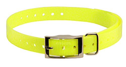 whelping collars petco