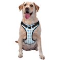 thumbnail image 1 of Balery Blue and White Squares Arnés para Perros Grandes Antitirones, Arnés con Correa para Gato, Arnés Tipo Chaleco para Perros Pequeños-Large, 1 of 6