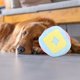 thumbnail image 4 of Mascota de peluche, entrenamiento de masticación, limpieza de dientes, Bola de fuga de comida para morder, juguete alimentador educativo para perros, 4 of 8