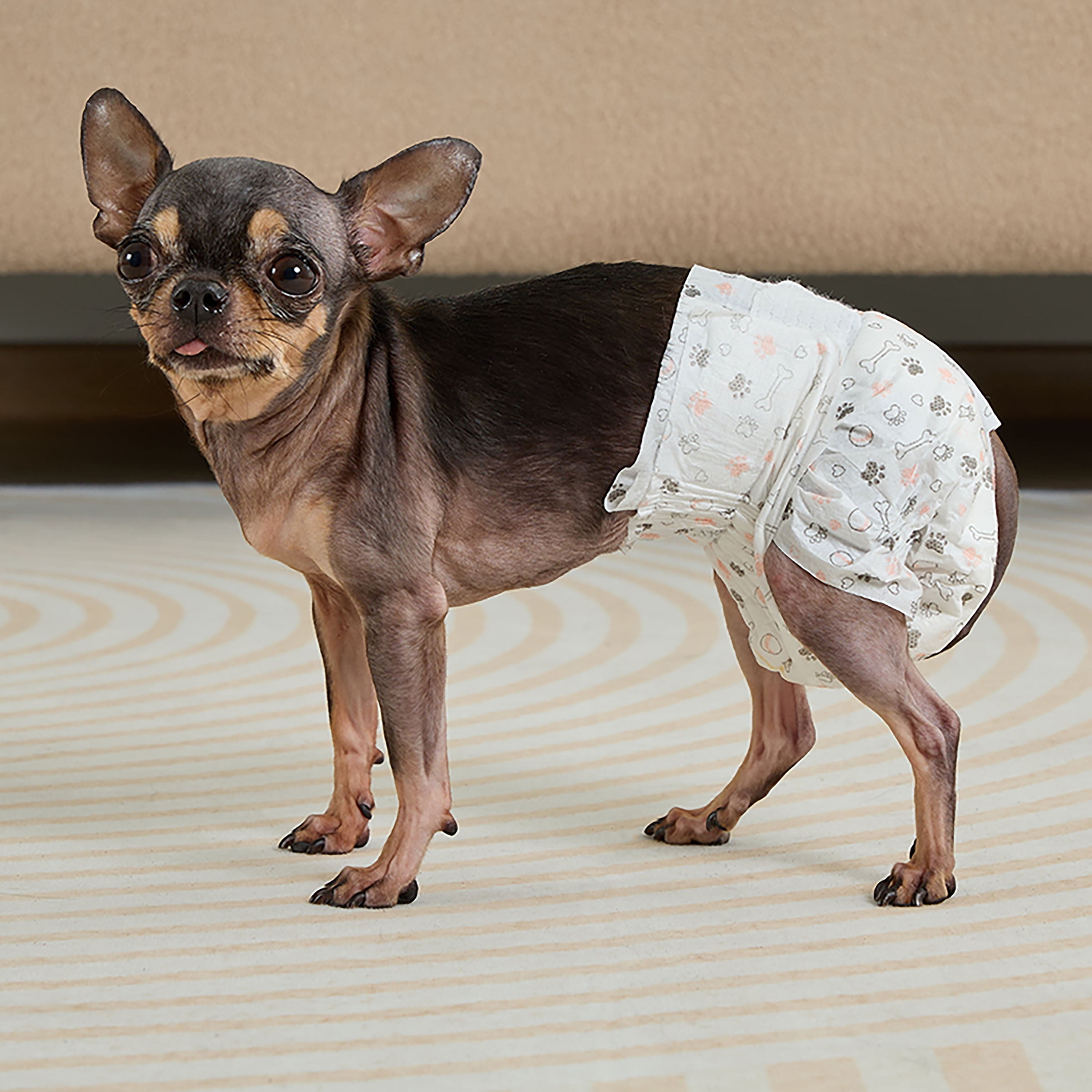 (6 pack) Vibrant Life Disposable Dog Diapers for Female Dogs, XS, 12 Count