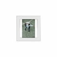 thumbnail image 1 of Lucent Frame (4 X 6) (Blanc) (Col) - Set of 2, 1 of 1