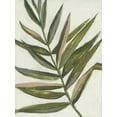 thumbnail image 2 of Goldberger, Jennifer 12x14 White Modern Wood Framed Museum Art Print Titled - Pastel Frond II, 2 of 4