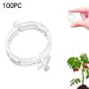 

Secured Plastic Plant Clip 2024 New Plant Fixing Clips For Climbing Plants Plastic Support Small Plastic Clip Tomato Clips For Garden Vine Plant Vegetables Tomato Plant Support Clips