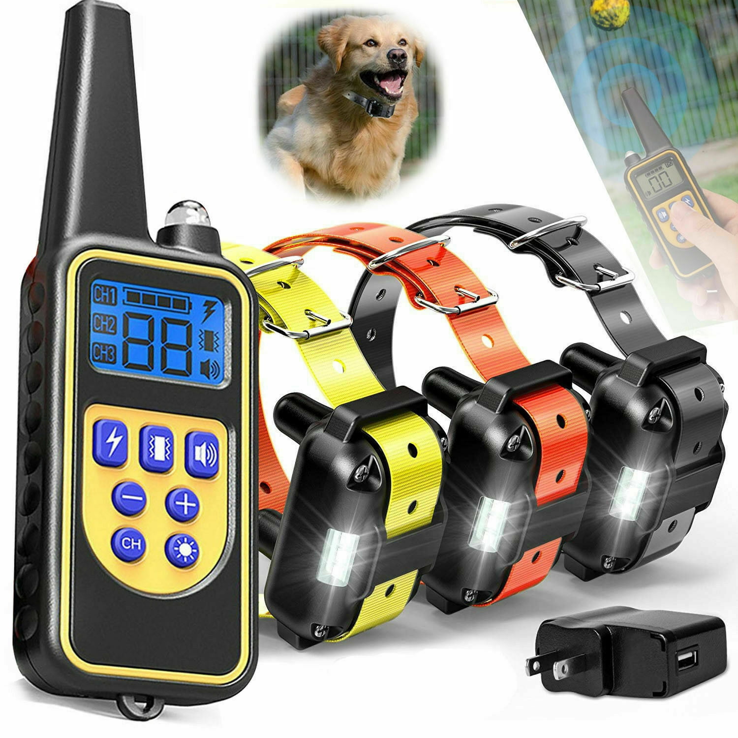 Dog Training Collar