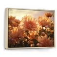 thumbnail image 2 of Designart "Morning Blossoms: Chrysanthemum Field At Sunrise" Chrysanthemums Floater Framed Wall Art Prints, 2 of 5