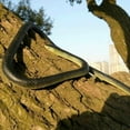 thumbnail image 2 of Taplcvy-Fake Realistic Snake Lifelike Real Scary Rubber Toy Prank Party Joke Halloween, 2 of 9