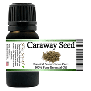 Caraway Seed Essential Oil