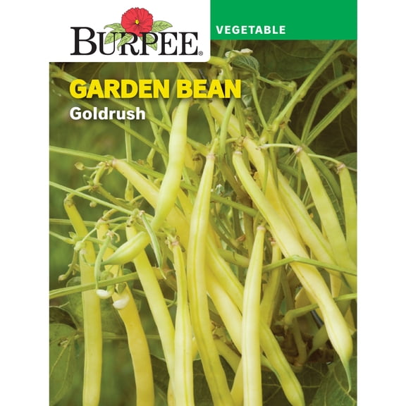 Burpee Goldrush Garden Bean Seeds - Non-GMO, Bush Bean, Vegetable Gardening Seeds, 21g, 1-Pack