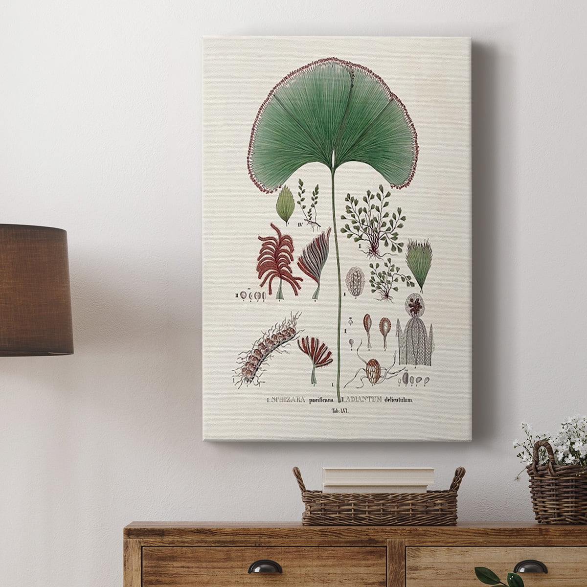 Botanical Society Ferns III Premium Gallery Wrapped Canvas - Ready to Hang