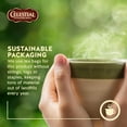 thumbnail image 6 of Celestial Seasonings Peppermint Caffeine-Free Herbal Tea Bag 20ct (4 Pack), 6 of 21
