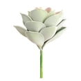 thumbnail image 1 of Flor suculenta artificial Oficina en casa Decoración de plantas suculentas falsas Decoración floral de EVA, grande, verde rosa Vogacara HA6992-04B, 1 of 6