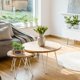 thumbnail image 4 of Simulación de suculenta combinación de flores bonsái y macetas de madera, decoración creativa artificial para el hogar, plantas verdes, 4 of 5