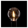 thumbnail image 2 of G40 LED Warm White with 0.6 Watt Bulbs (G40 LED Filament - White Wire, 10 ft), 2 of 4