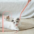 thumbnail image 4 of Cat Teaser Stick – Simulated Mouse Tail Interactive Wand Toy Set, 4 of 7