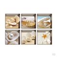 thumbnail image 1 of Impresión En 3D De Bañera Impermeables Antideslizantes Apliques Calcomanías De Bañera Peldaños Tatuajes 12pcs Conjunto 13x13cm Conchas, 1 of 4