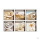thumbnail image 1 of 12pcs 5x5 Pulgadas Antideslizante PVC Bañera Tatuajes Calcomanías , Conchas, 1 of 4