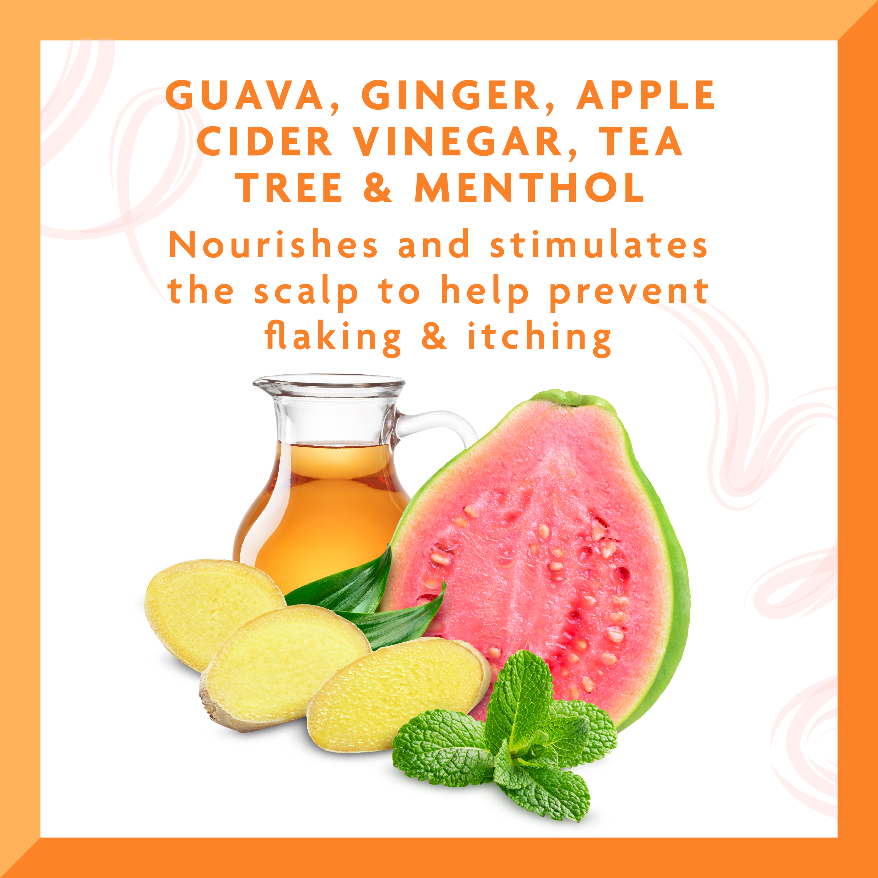 Cantu Anti-Dandruff Shampoo with Guava & Ginger, 13.5 fl oz - image 5 of 10