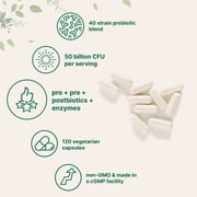 Micro Ingredients Daily Probiotics 50 Billion CFU, 120 Vegetarian Capsules | 4-in-1 with Prebiotics, Postbiotics, Digestive Enzymes | Digestive & Gut Health Support