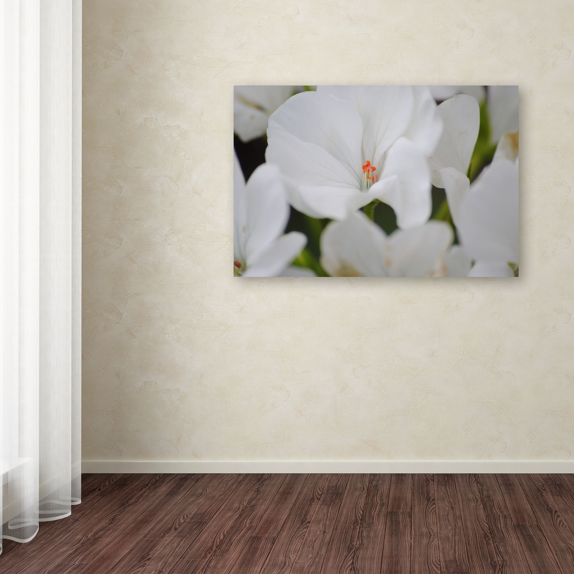 Trademark Fine Art "Clustered Jewel" Canvas Art by Monica Mize