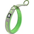 thumbnail image 1 of HAHDAXIA Collier Étrangleur pour Chien en Nylon, Vert, Grand, 1 of 7