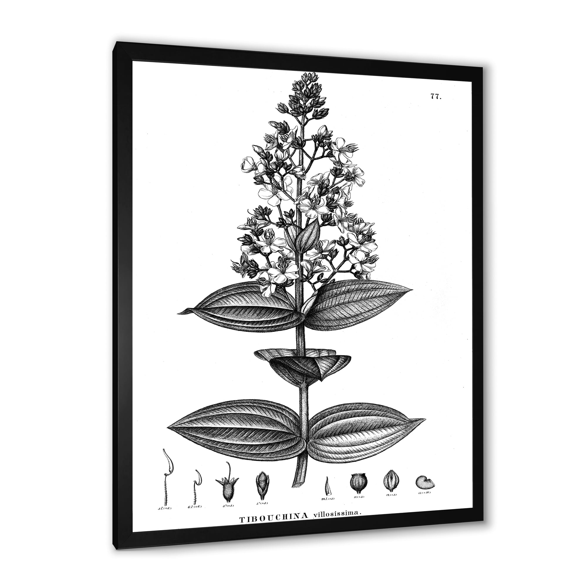Designart 'Ancient American Flora VI' Traditional Framed Art Print