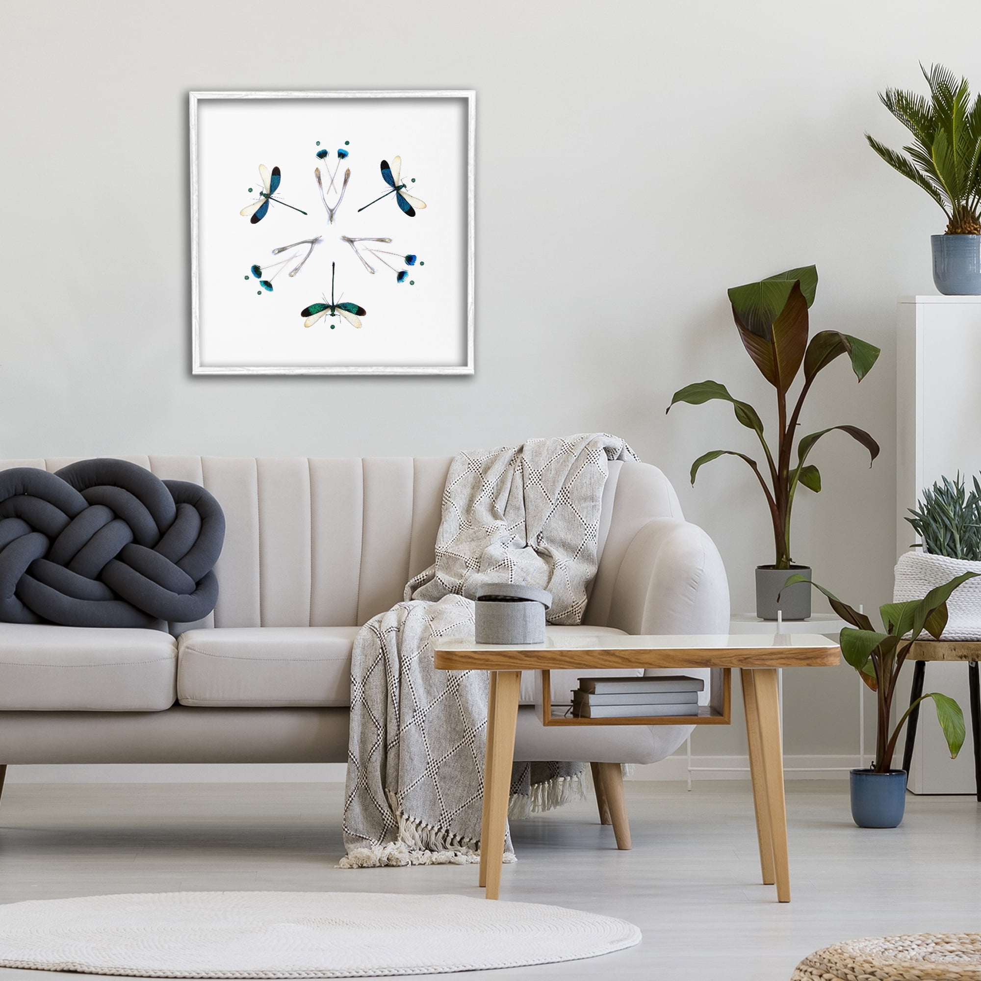 Stupell Industries Simple Dragonfly Symmetry White Framed Giclee Art, design by Beth Adoette
