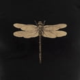 thumbnail image 3 of CafePress - Dragonfly Vintage Pajamas - Women's Dark Pajamas, 3 of 4