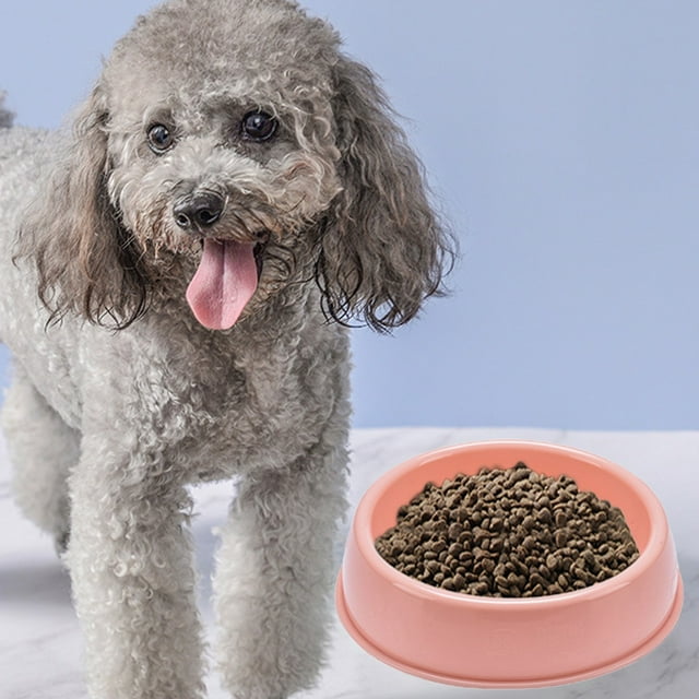 Kitchen Utensils Custom Fashion Non Slip Smart Durable Plastic Pet Food Bowl Feeder for Cats And Dogs