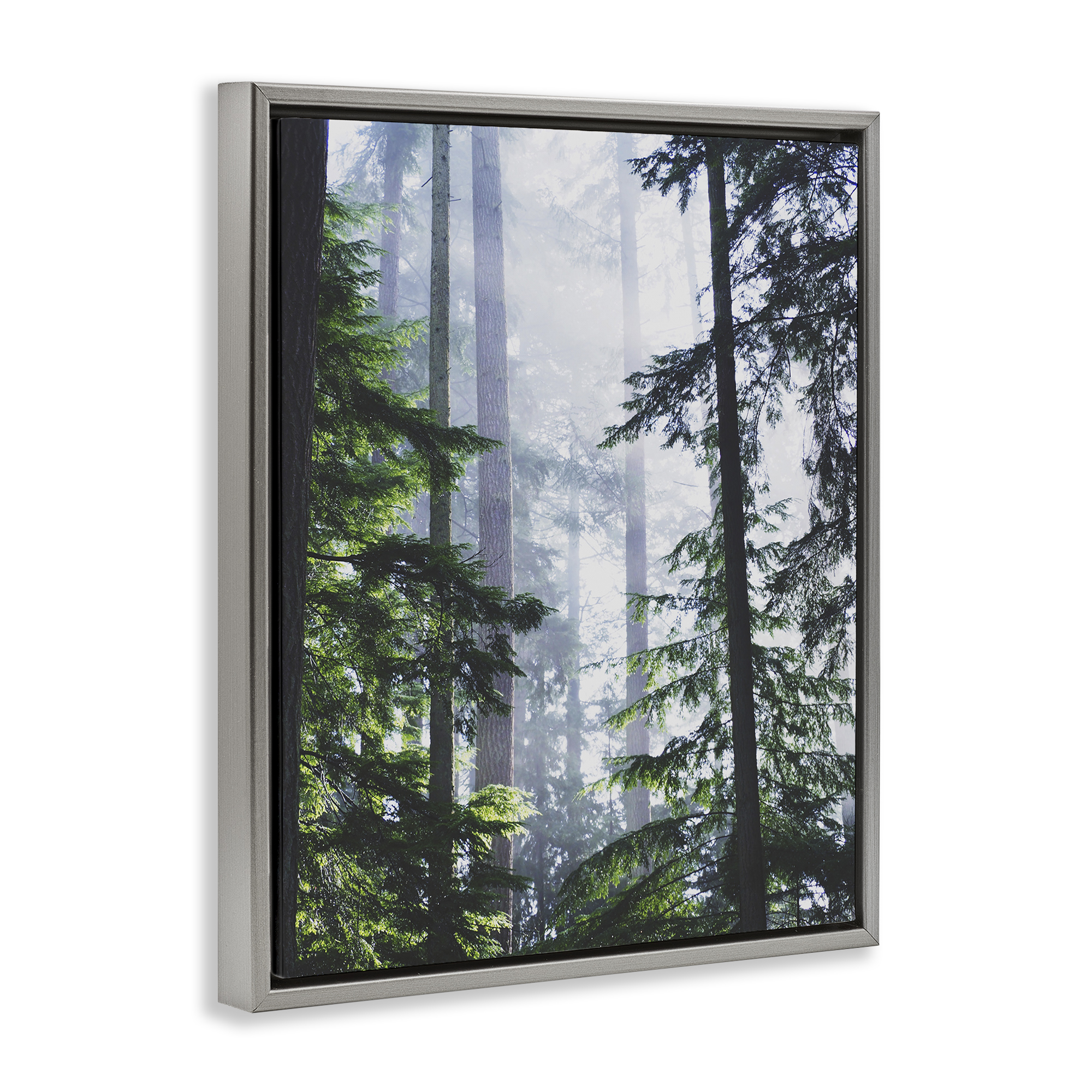 Stupell Industries Foggy Forest View Landscape Photography Gray Floater Framed Art Print Wall Art, 17 x 21