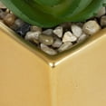 thumbnail image 2 of Kibo Mini Faux Succulent Gold Pot, 2 of 4