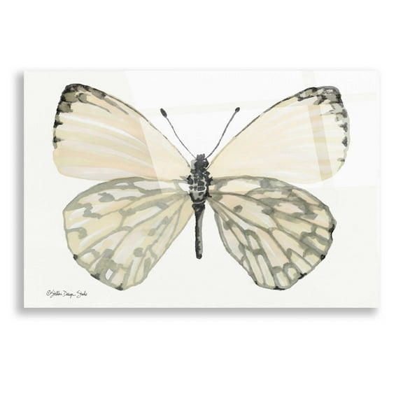 Epic Art 'Butterfly 2' by Stellar Design Studio, Acrylic Glass Wall Art, 16"x12"