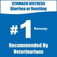Whole Life Pet Recover. YPF5 Bland Diet for Dogs Vomiting, Stomach