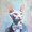 Black Panther, variant on Dapper Sphynx Cat Portrait Canvas Wall Art, Gentleman Cat Print for Living Room, Bedroom, Office, Study and Den Decor