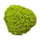 thumbnail image 5 of Adornos de musgo artificial decorativo de 25 g para decorar el dormitorio y eventos especiales. Verde, 5 of 9
