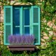 thumbnail image 5 of Ramo de Lavanda Artificial, 10 Unidades, 15 Pulgadas de Largo, Flores Artificiales de Plástico con Polvo Flocado Blanco, Realista, para Decoración de Bodas, Hogar, Jardín, Oficina, Balcón y Baño., 5 of 6