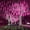 Pink, variant on Rain Lights, Meteor Lights,Meteor rain Lights 50cm 8 Tube Solar rain Lights with for Christmas Parties Wedding Christmas Tree
