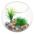 thumbnail image 3 of CUITING Bol à Poisson Rond en Verre pour Vase à Fleurs Betta Goldfish, 3 of 10