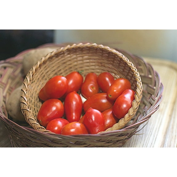 Roma Italian Tomato Seeds/ Annual/ Full Sun/ 10.4K Seeds 1 oz/ Zellajake Farm and Garden - B226