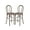 Fruitwood, variant on Fruitwood Resin Steel Skeleton™ Bentwood Barstool - 2 Pack - Some Assembly Required by Chivari