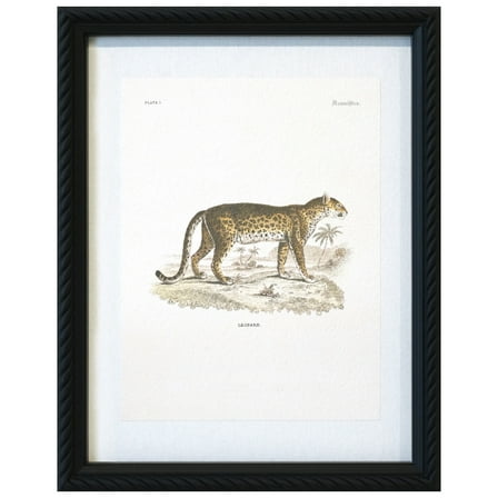 11" x 14" Vintage Leopard Print Wall Décor by Ashland® - Summer Home Decor