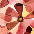 thumbnail image 2 of Popp, Grace 15x15 White Modern Wood Framed Museum Art Print Titled - Elementary Flora II, 2 of 4
