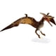 thumbnail image 2 of Jurassic World Toys Colección Ámbar Pteranodon Jurassic World Jurassic World Toys, 2 of 6
