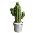 thumbnail image 1 of Coofit Artificial Cactus Decorative Vivid Fake Simulated Potted Plant Home Decor, 1 of 6