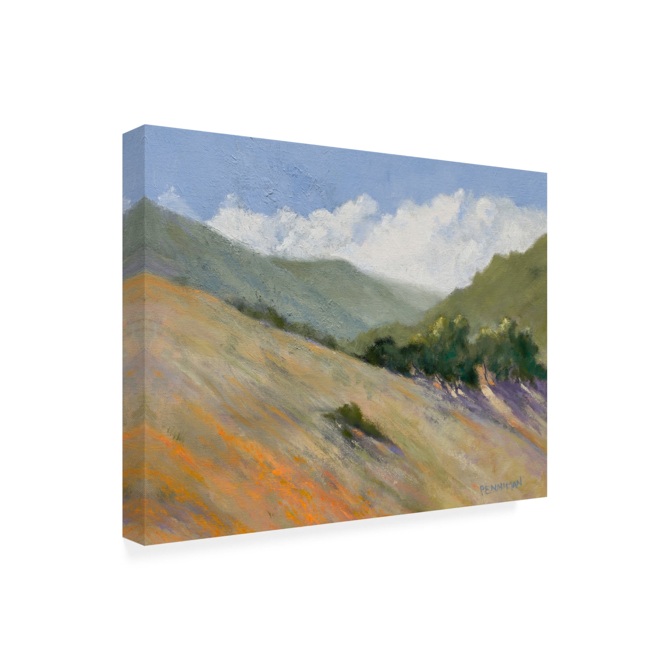 Canvas Wall Art - Ed Penniman 'Old Toll Road, Calistoga' Wall Art for Living Room, Bedroom, or Office Décor by Trademark Fine Art - 19 x 14 Inches