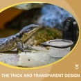 thumbnail image 4 of WEUVEB Comedero Para Reptiles Negro De Plástico Resistente Para Comida Y De Gecko, 4 of 8