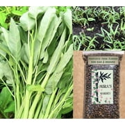 1kg (2.2 Lbs) Rau Muong La to wide kangkong Morning Glory Spinach