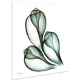 thumbnail image 4 of Empire Art Direct Coastal Serenity II Frameless Free Floating Tempered Glass Panel Graphic Wall Art, 24" x 24" x 0.2", Ready to Hang, 4 of 9