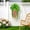 B, variant on CaiYueKe Artificial Hanging Plants Fake Vines Greenery Decor Faux Fern Leaf Wall Mounted Home Office Indoor Outdoor Decorations for Room Bathroom Kitchen Shelf Mantle Wedding Party Aesthetic